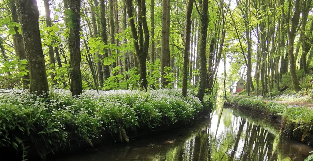 Experience Hay Another Way