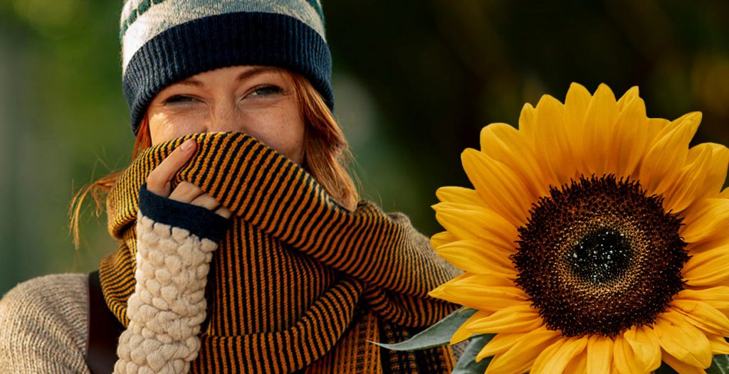 We do love beautiful sunflowers…