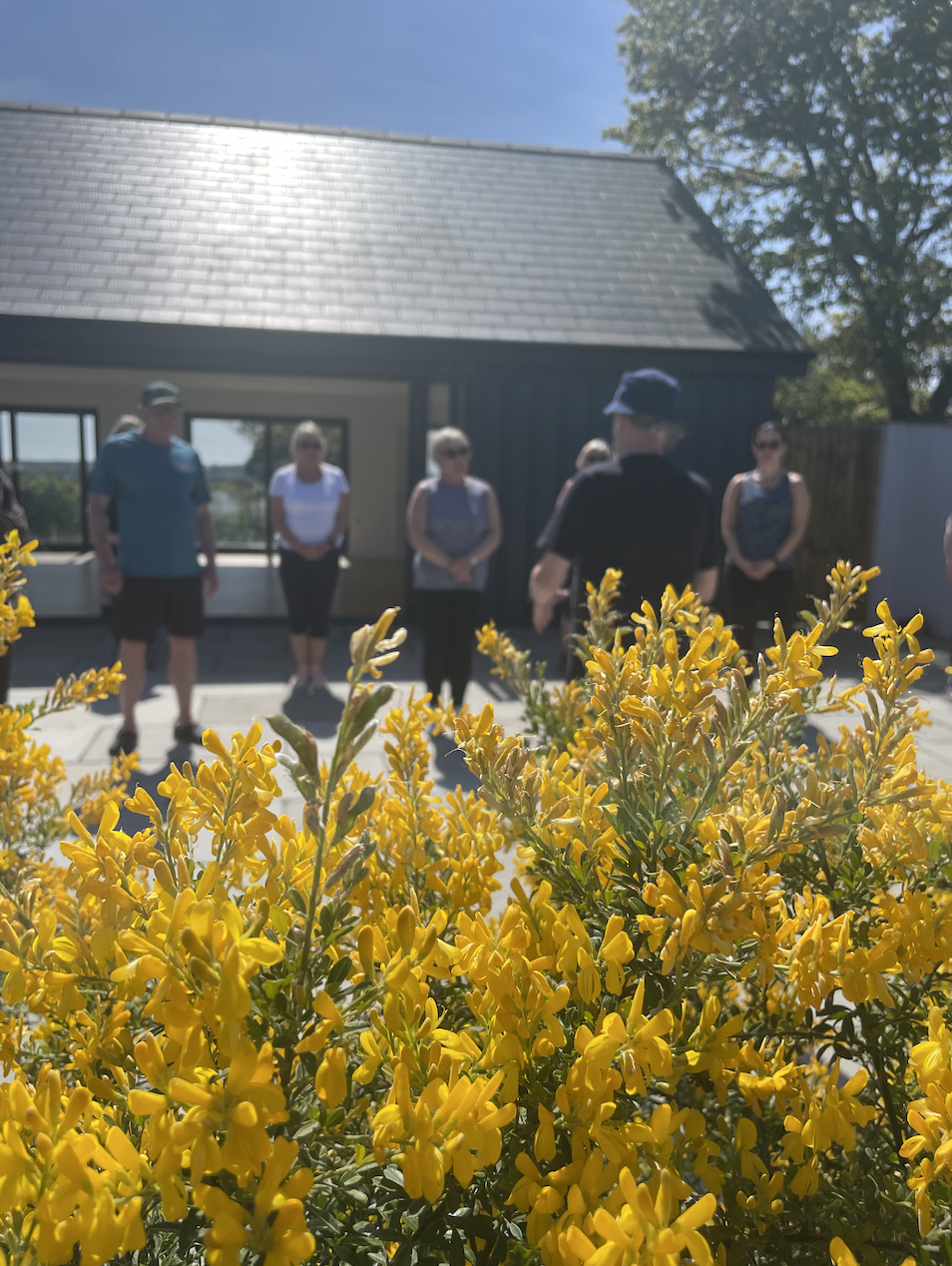 Tai Chi Day at Ash Farm - September 19th 2026 - Image 10