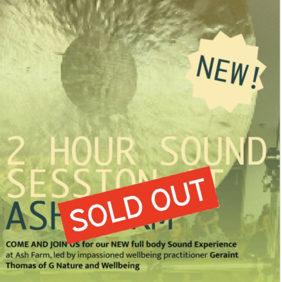 2 HOUR SOUND SESSION AND LUNCH - SUNDAY NOV 30th