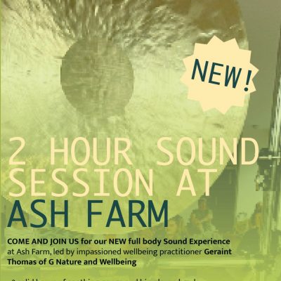 2 HOUR SOUND SESSION AND LUNCH - SUNDAY NOV 30th