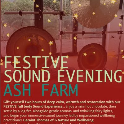 FESTIVE SOUND EVENING - SATURDAY DEC 20TH