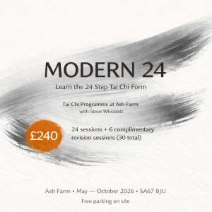 Learn the 24 Step Tai Chi Form (Modern 24)