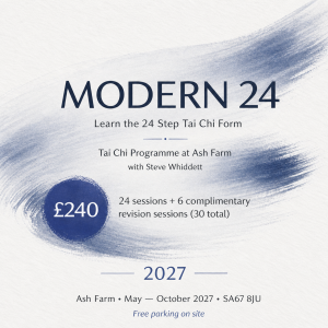 2027 - Learn the 24 Step Tai Chi Form (Modern 24)
