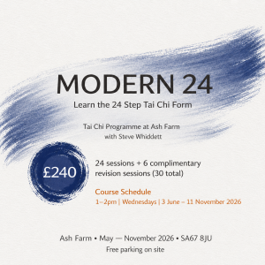 Learn the 24 Step Tai Chi Form (Modern 24) - Starts June 3rd ???? an idea