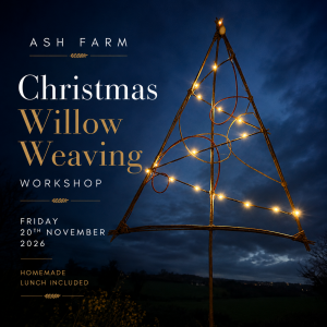Christmas Crafts Willow Workshop- FRIDAY November 20th 2026