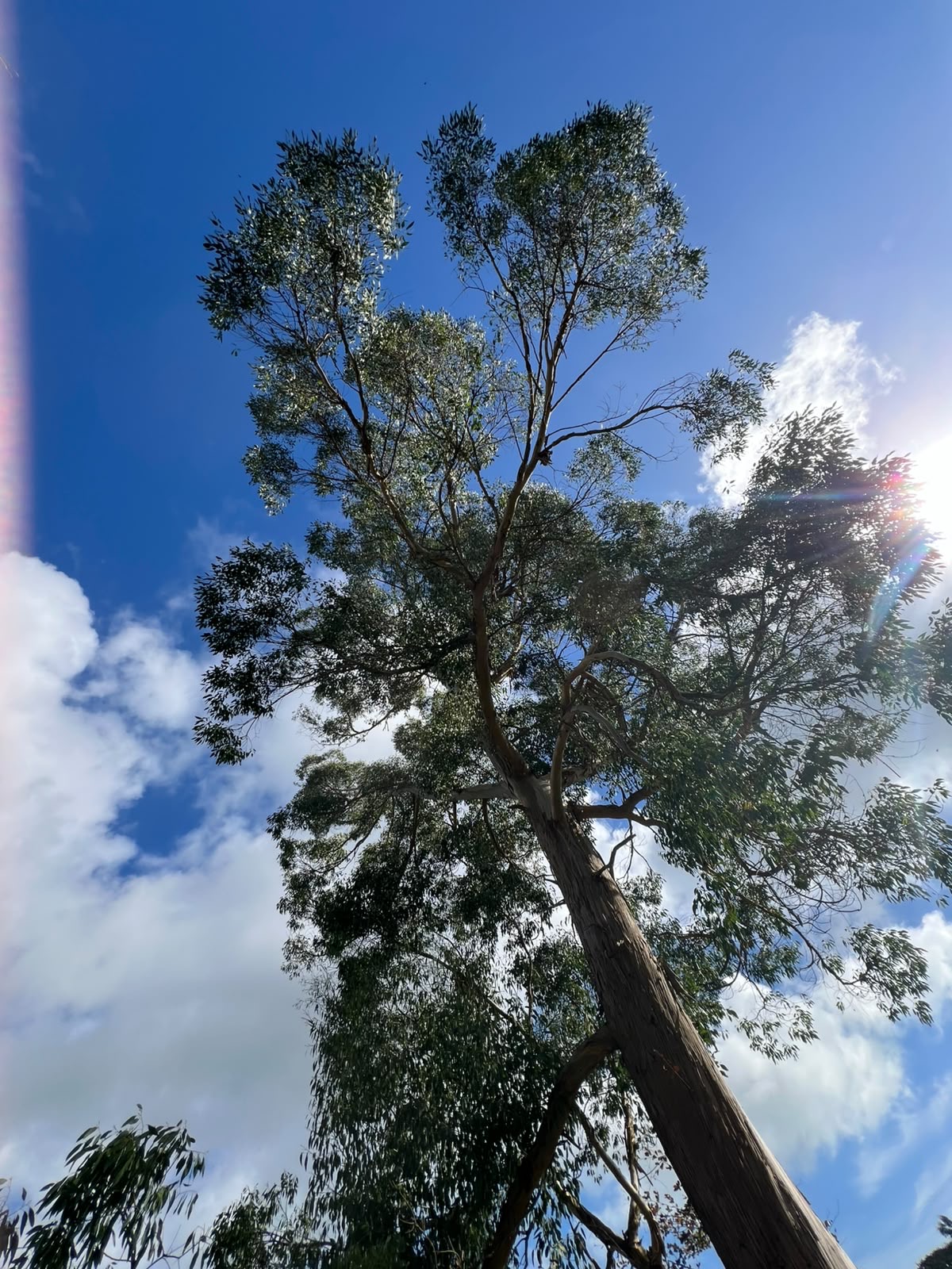 The Art of Slowing Down - Saturday 15th May 2027 - Image 14