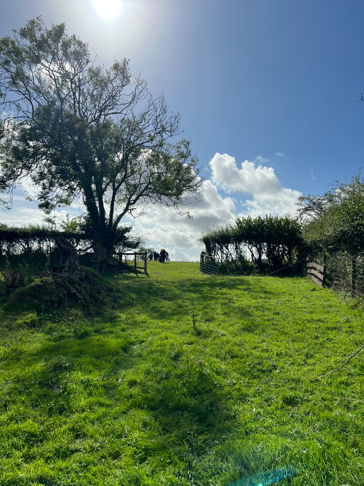 The Art of Slowing Down - Saturday 15th May 2027 - Image 7