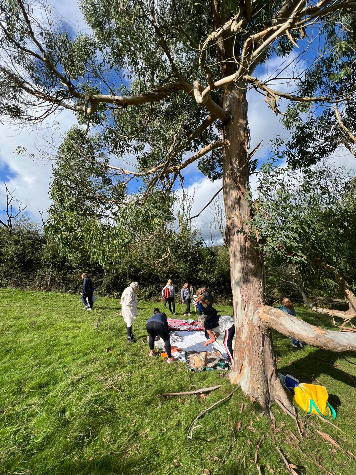 The Art of Slowing Down - Saturday 15th May 2027 - Image 8