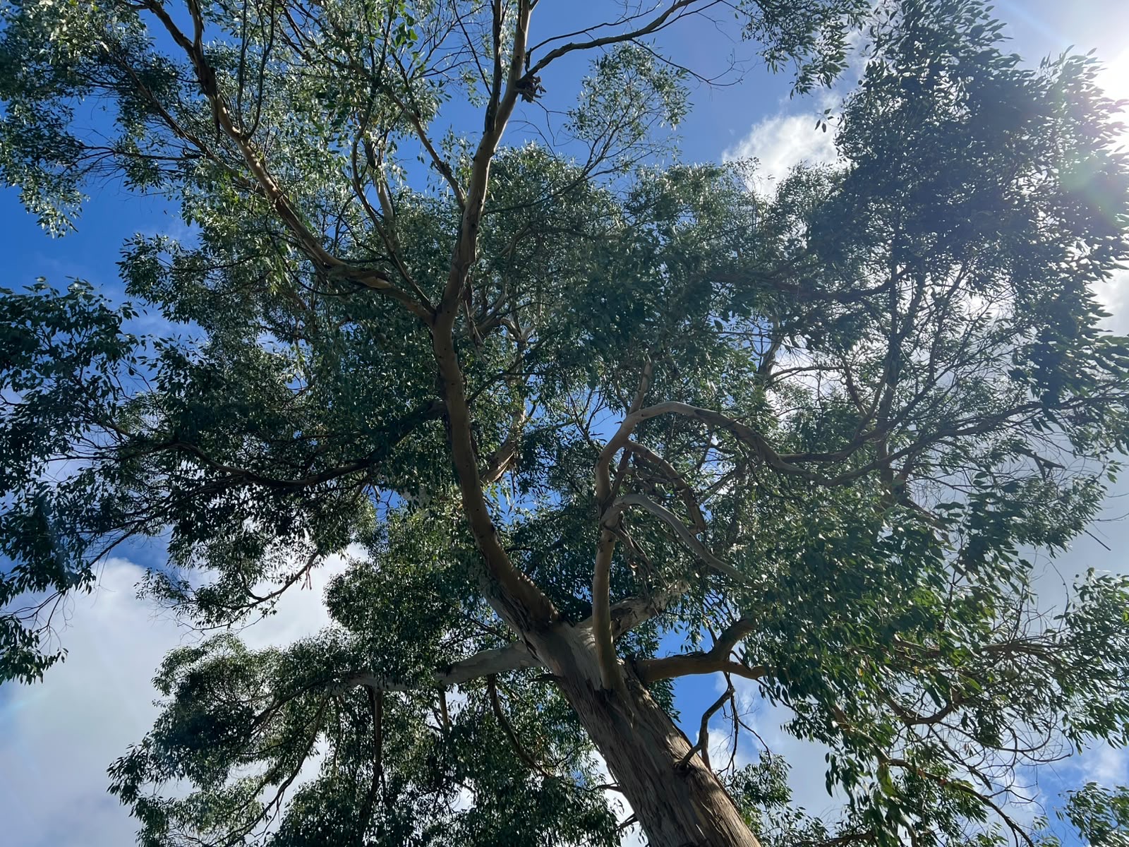 The Art of Slowing Down - Saturday 15th May 2027 - Image 74