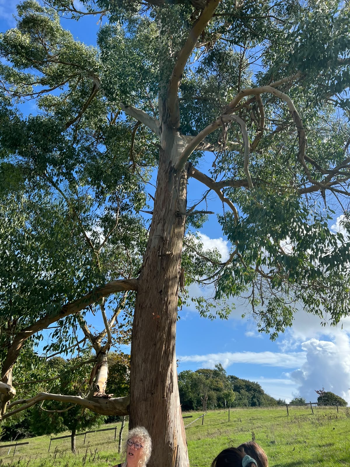 The Art of Slowing Down - Saturday 15th May 2027 - Image 9