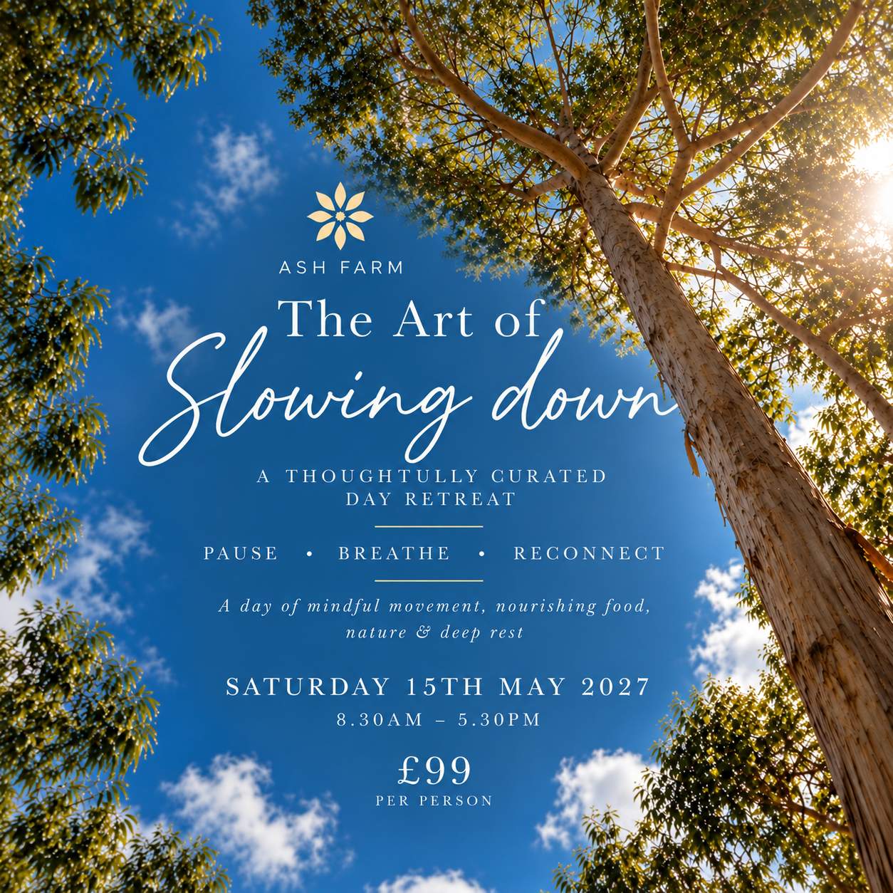 The Art of Slowing Down - Saturday 15th May 2027
