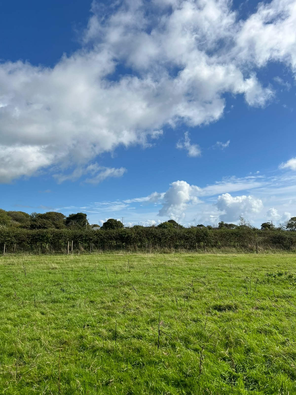 The Art of Slowing Down - Saturday 15th May 2027 - Image 76
