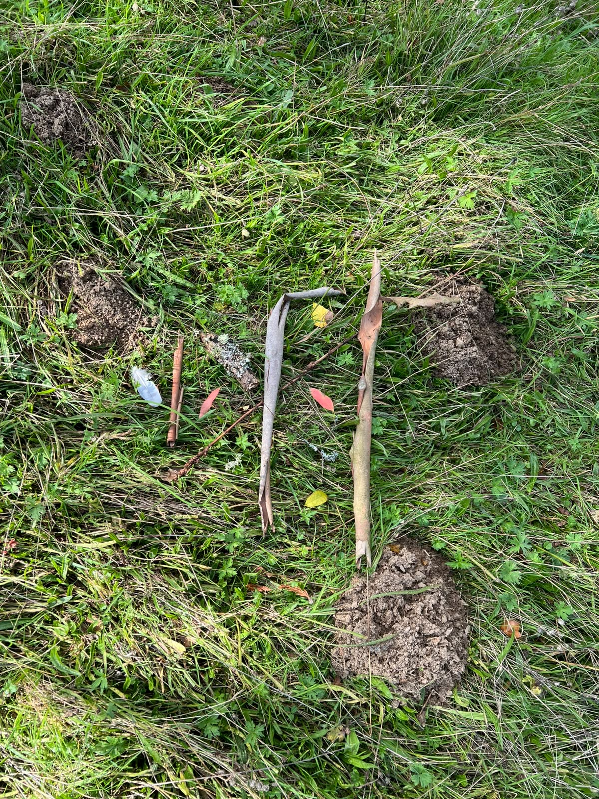 The Art of Slowing Down - Saturday 15th May 2027 - Image 10