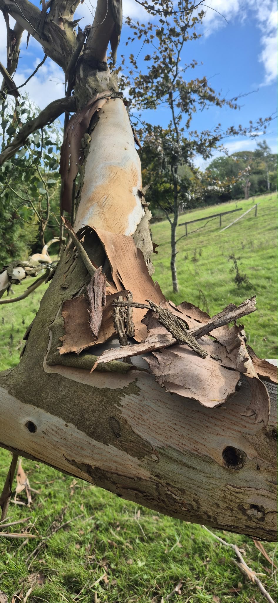 The Art of Slowing Down - Saturday 15th May 2027 - Image 6